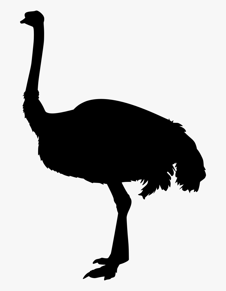 Turkey, HD Png Download