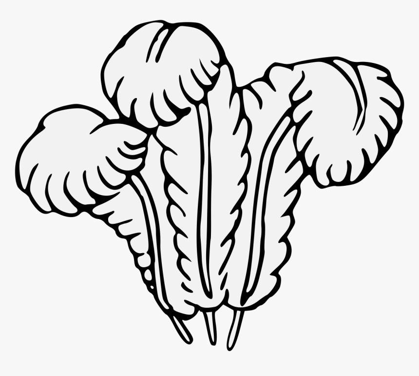 Ostrich Feather Clip Art, HD Png Download