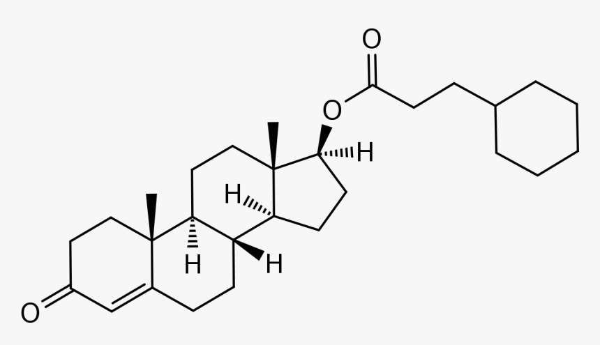 Testosterone Enanthate Structure, HD Png Download