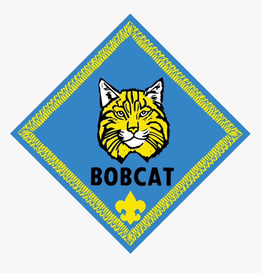 Cub Scouting, HD Png Download