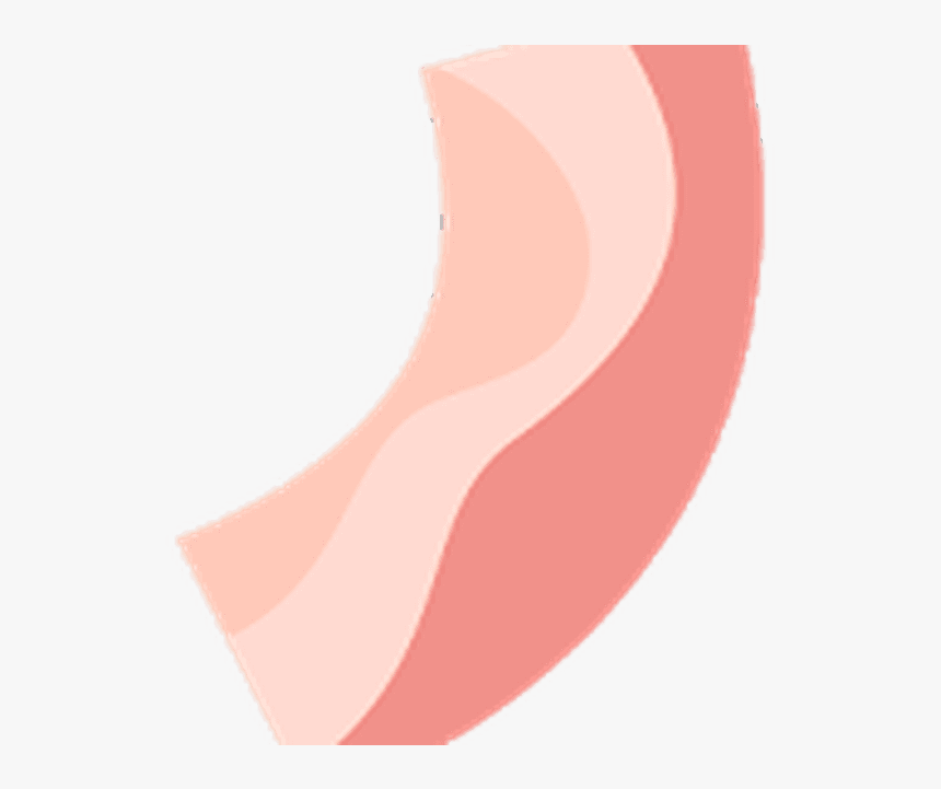 Png Download , Png Download - Bacon The Game Png, Transparent Png