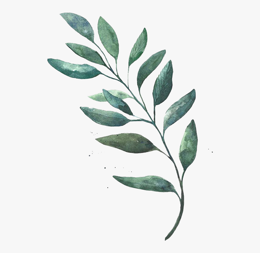 Watercolor Leaf Leaves Painting Drawing Free Hd Image - Transparent Watercolor Leaves Png, Png Download