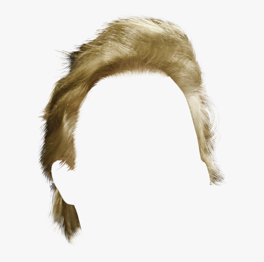 Trump's Hair Png, Transparent Png
