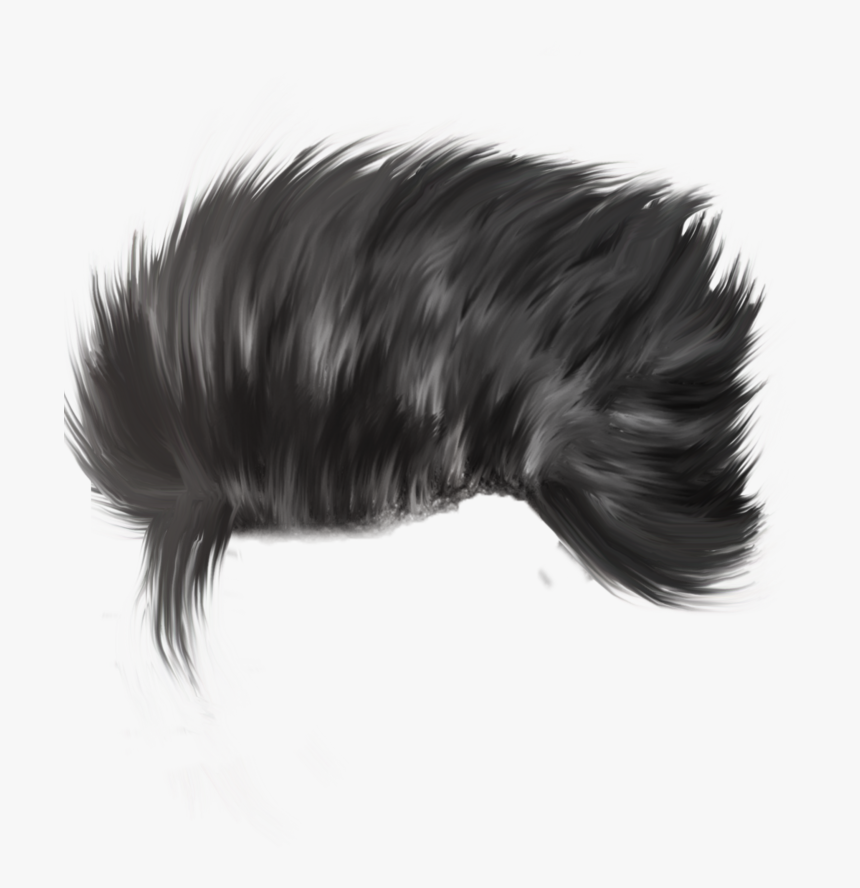 Hair Png - Hair For Editing In Picsart, Transparent Png