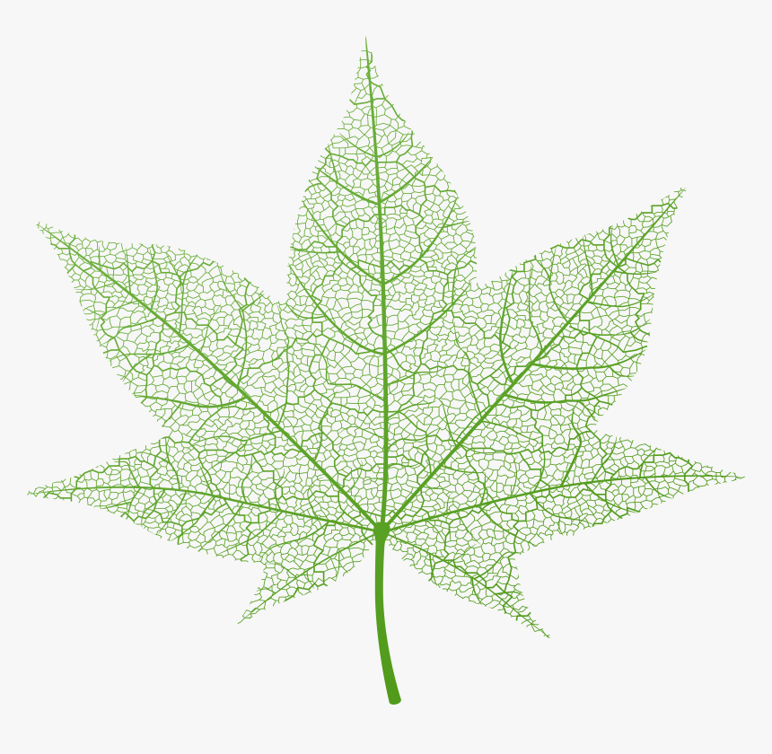 Transparent Green Autumn Leaf Png Clip Art Image - Autumn Clear Background Leaves Png Transparent, Png Download