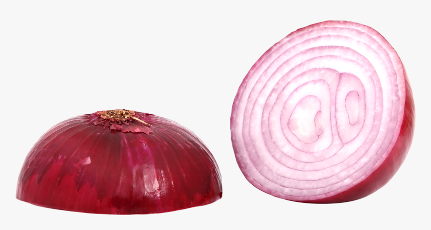Onion Slice Png - Red Onion Png, Transparent Png