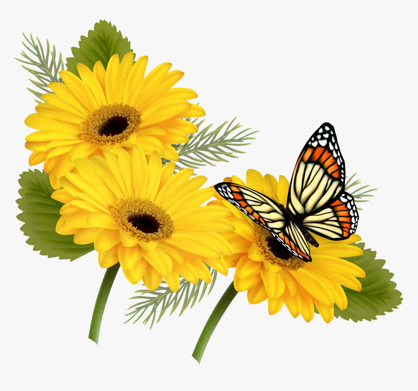 Yellow Gerberas With Butterfly Png Clipart - Butterfly On Flowers Png, Transparent Png