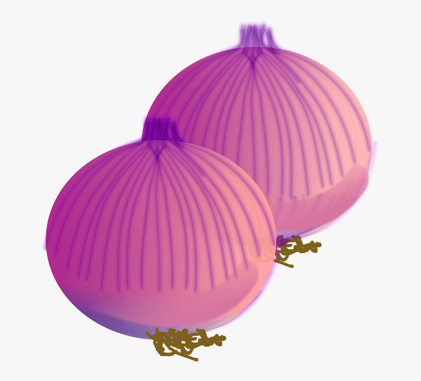 Onion Vector - Onion Clip Art, HD Png Download