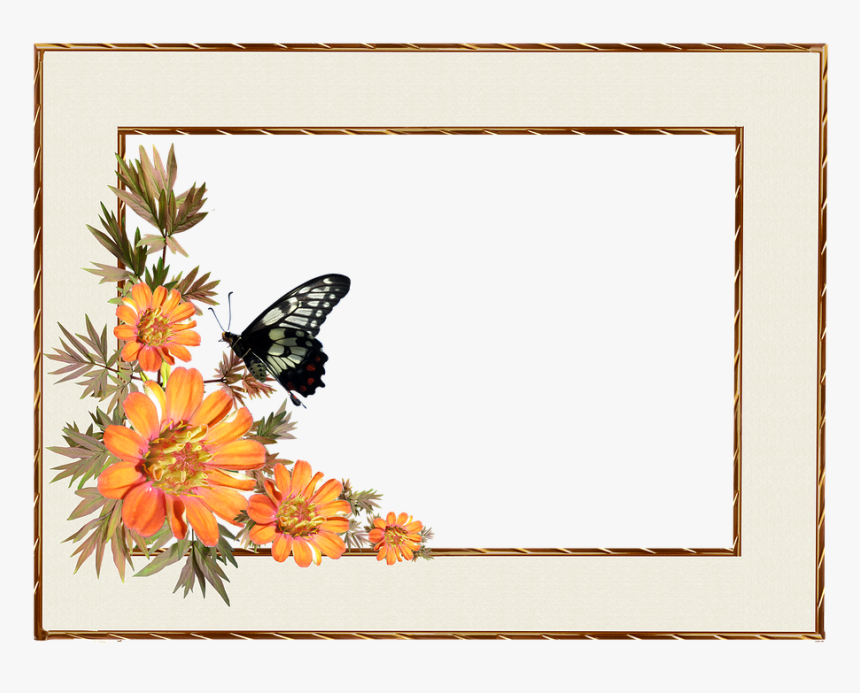 Frame, Border, Flowers, Butterfly, Decorative - Border Flower Frames Clipart, HD Png Download