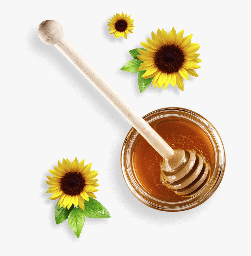 Transparent Miel De Abeja Png - Sunflower, Png Download