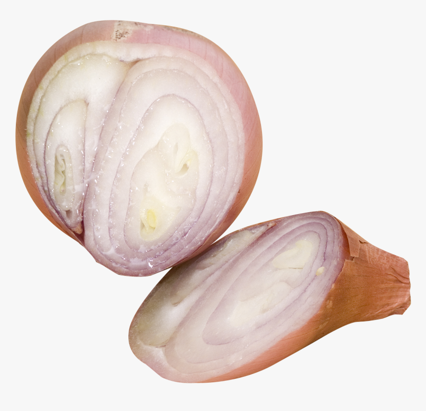 Red Onion, HD Png Download