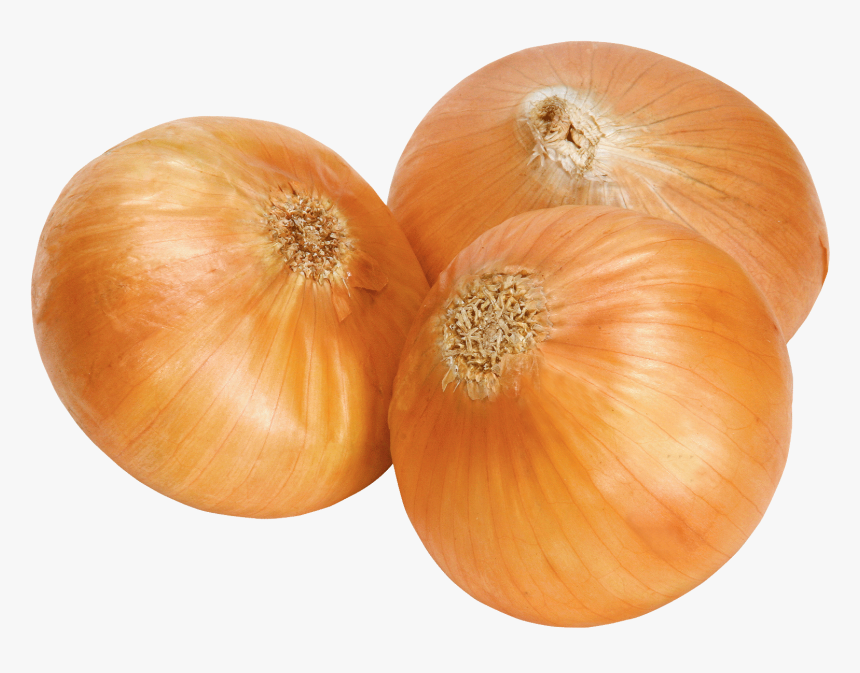 Calabaza White Onion Clip Art - Onion Png, Transparent Png