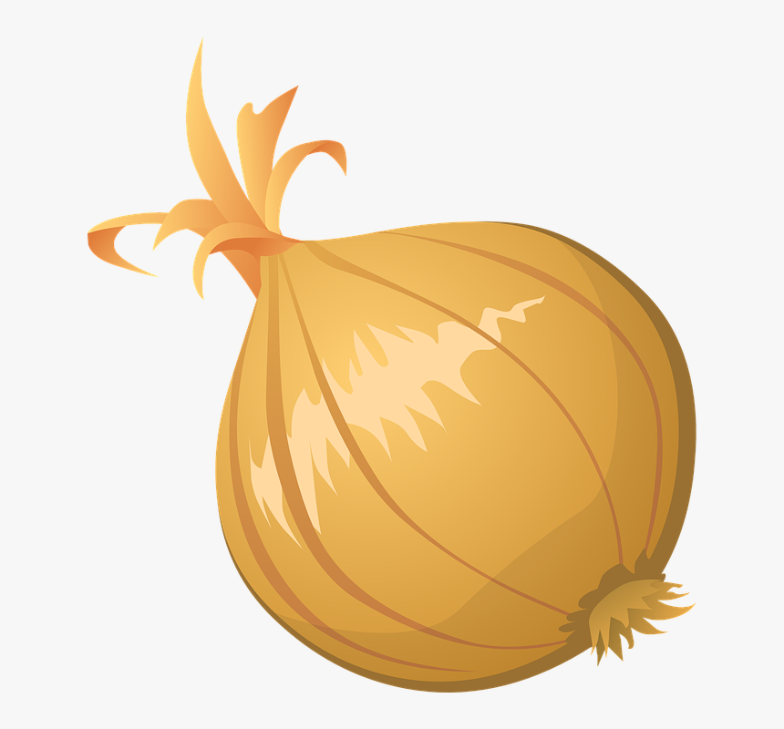 Onion Vector Png Clipart - Onion Clip Art, Transparent Png