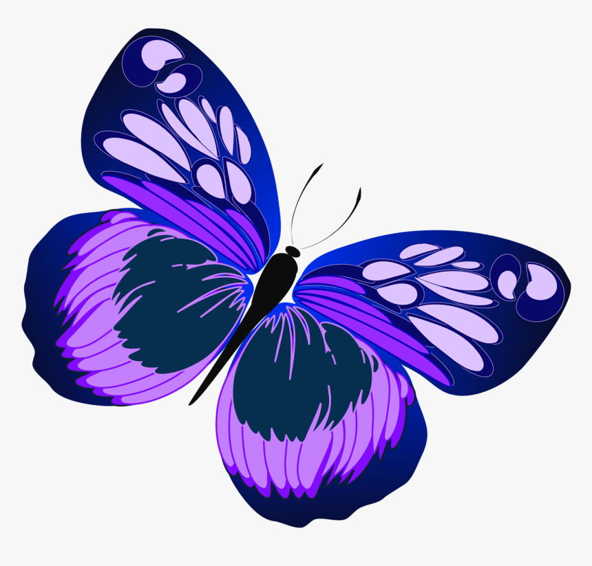 Blue Pink Purple Butterflies, HD Png Download
