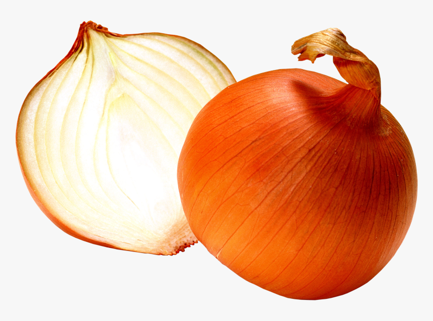 Transparent Red Onion Clipart - Onion Png, Png Download