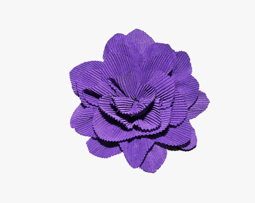 Flor, Púrpura, Flor Morada, Primavera, Florales, Planta - Download, HD Png Download