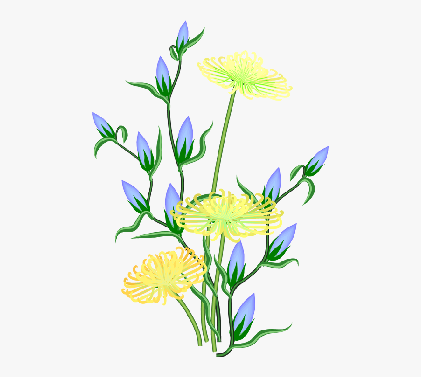 The Images - Wallpaper, HD Png Download