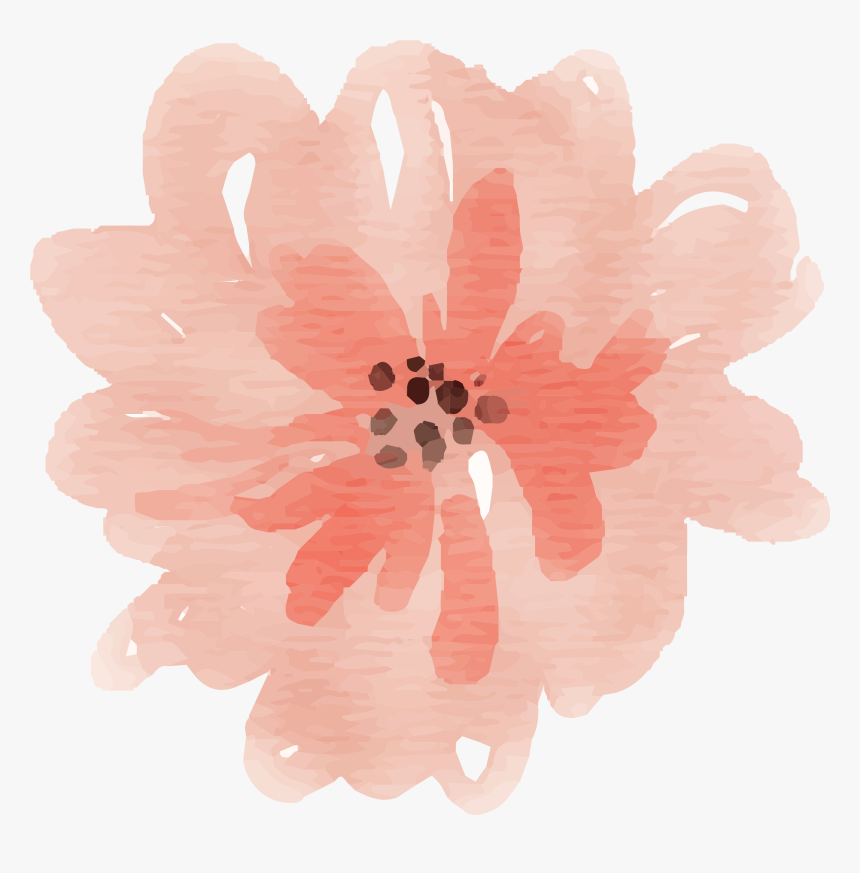 Free Watercolor Flower Images Peach Delight Watercolor - Peach Flower Watercolor Png, Transparent Png