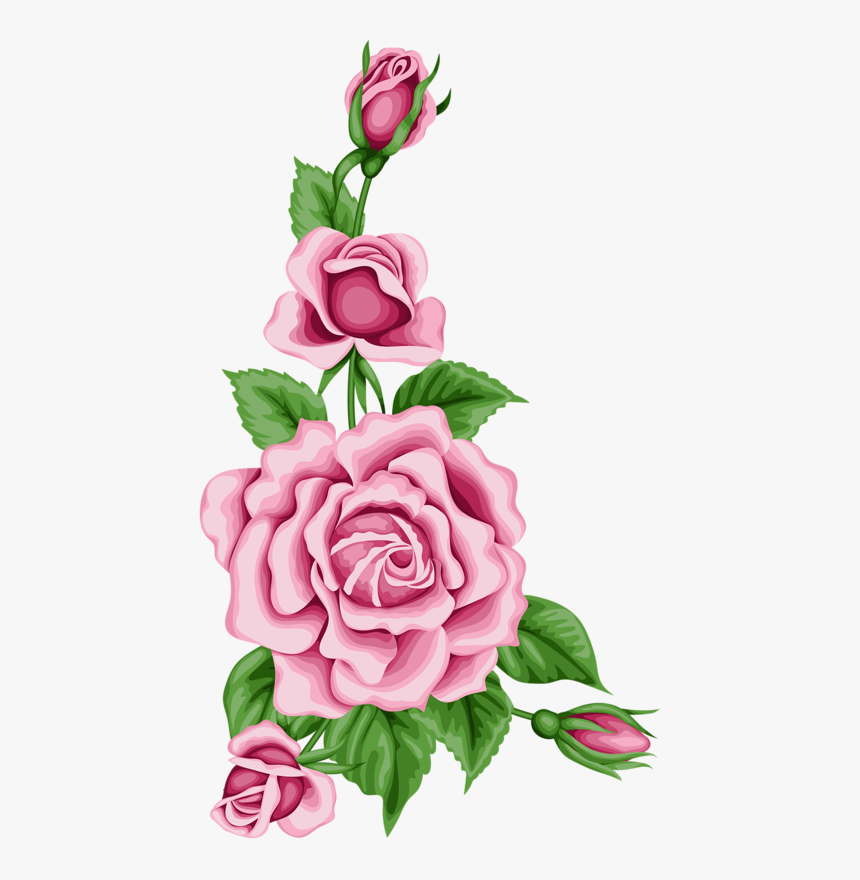 Flower Card With Colorful Roses Png Pinterest - Flower Border Designs Colorful, Transparent Png