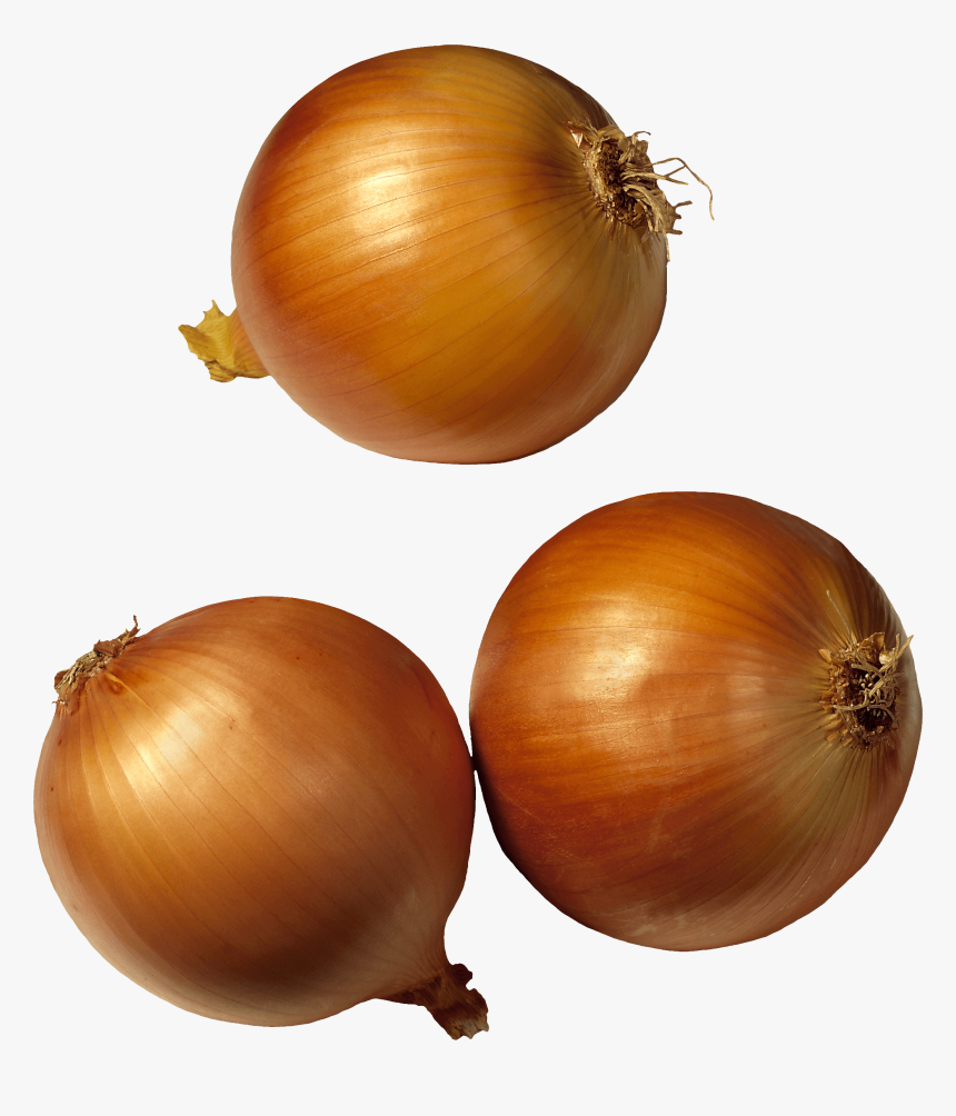 Holland Onion, HD Png Download
