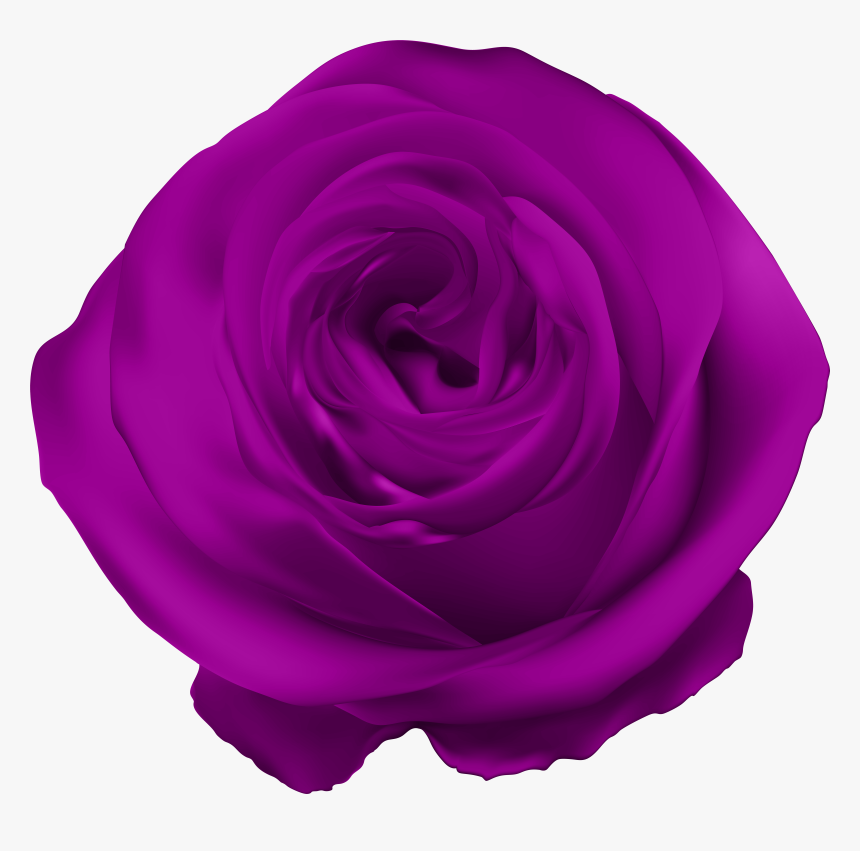 Royal Blue Rose Flower Png, Transparent Png