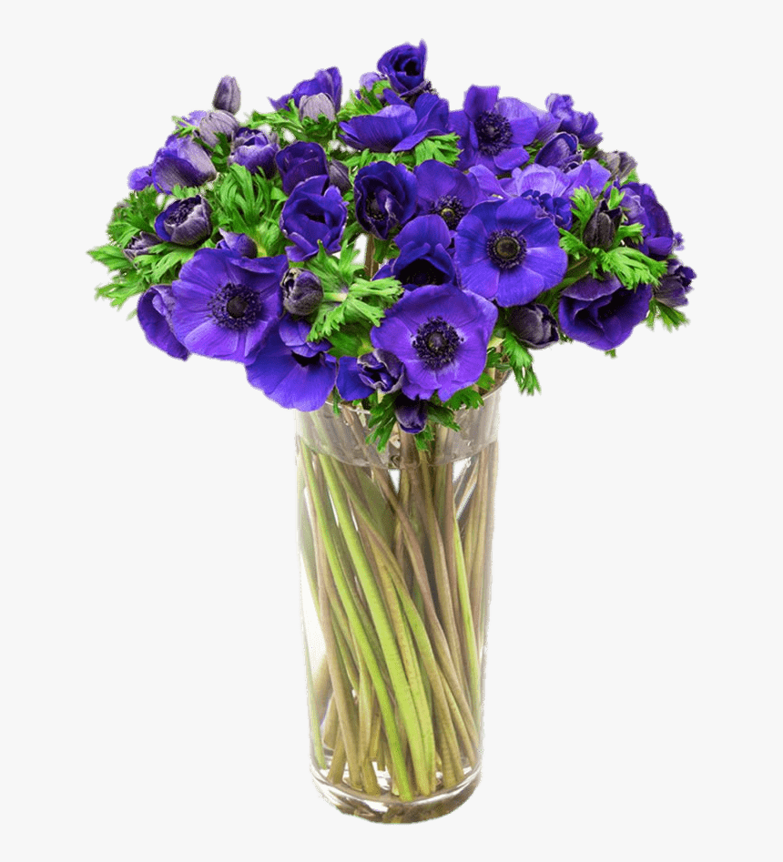 Anemones Moradas En Florero - Anemones Flowers, HD Png Download