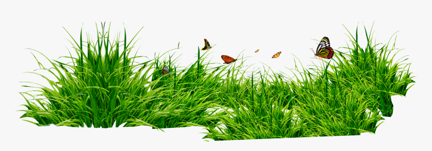 Grass Png Image - Grass Images In Png, Transparent Png