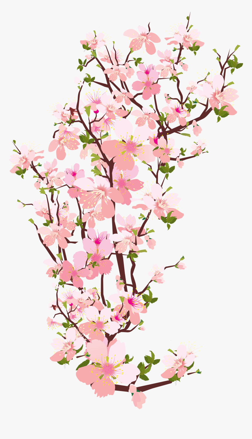 Pin By Fida Kamal On Desenhos 3 - Cherry Blossom Branch Transparent, HD Png Download