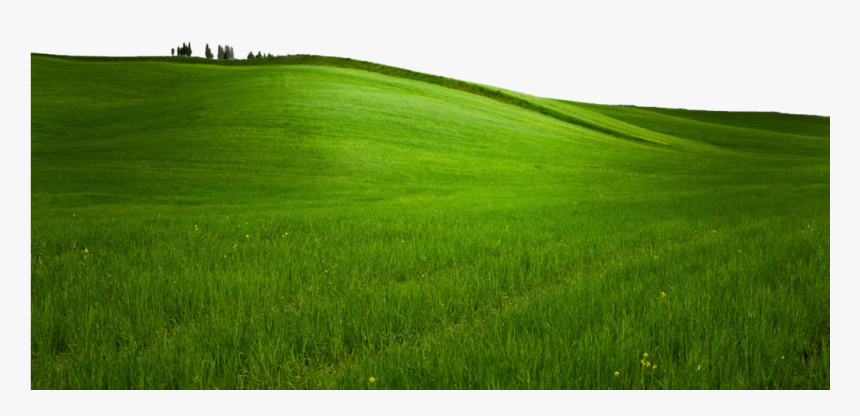 Grass Png Icons Pinterest - Field, Transparent Png