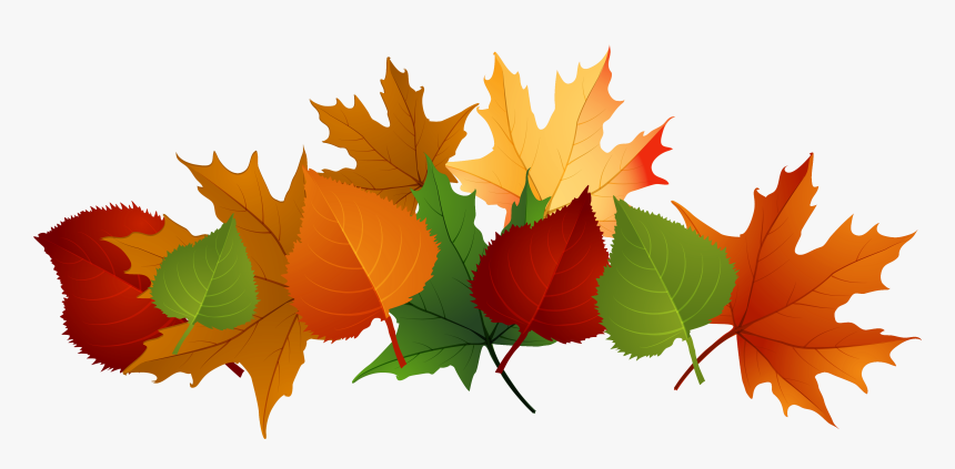 Fall Leaves Clipart, HD Png Download