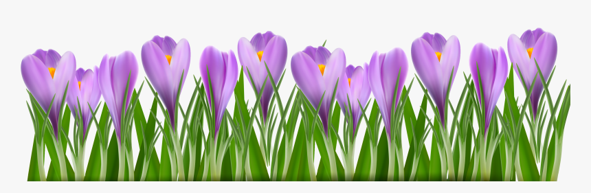 Spring Flowers Border Png, Transparent Png
