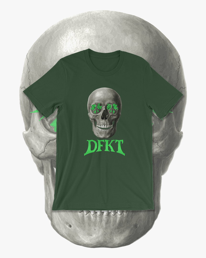 Skull, HD Png Download