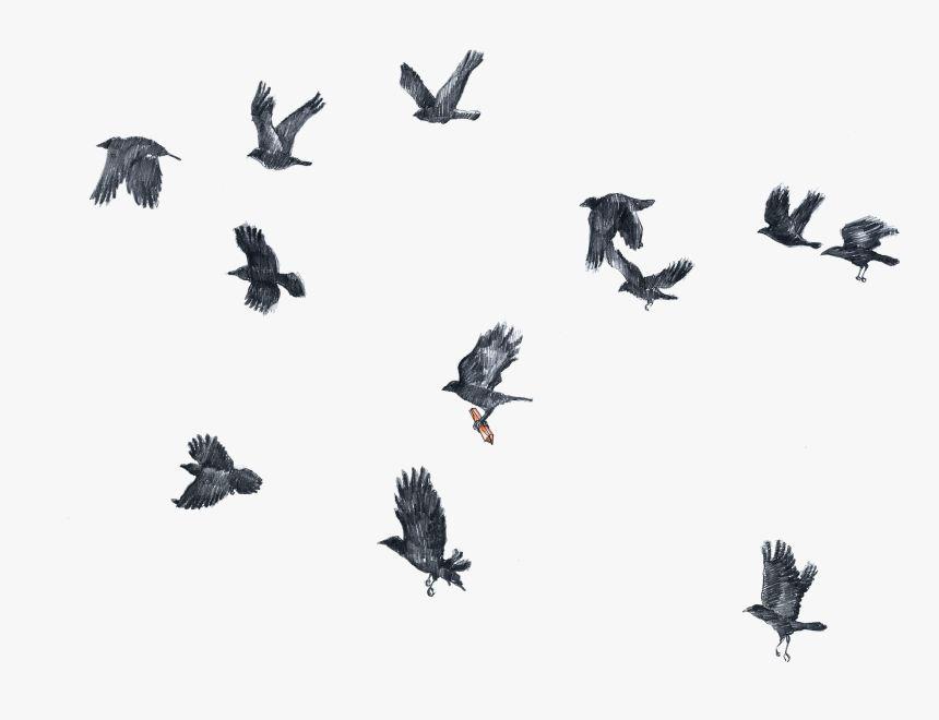 Flock, HD Png Download