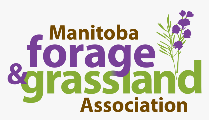 Grassland Png, Transparent Png