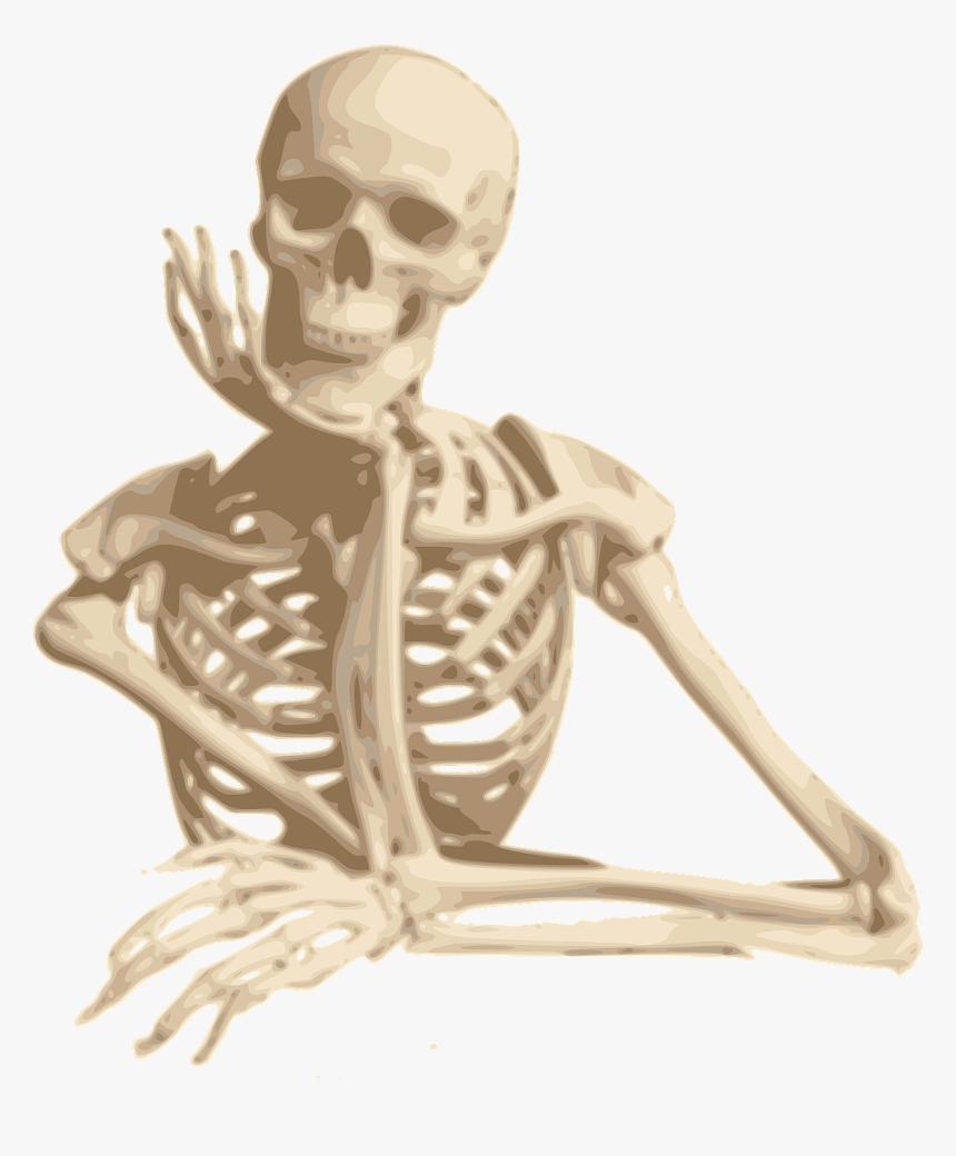 Skeleton Free, HD Png Download
