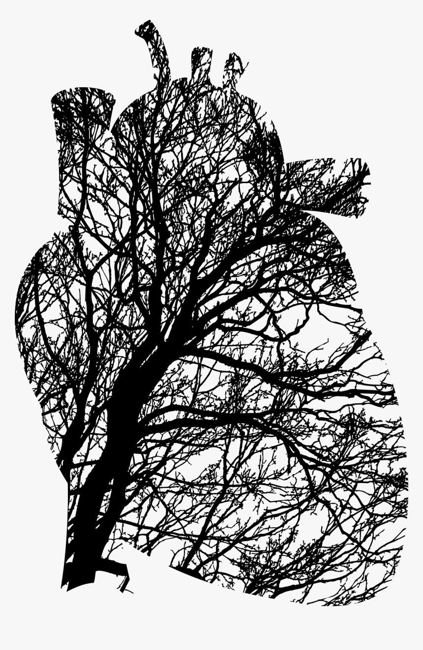 Visual Arts,plant,flora - Black And White Heart Tree, HD Png Download
