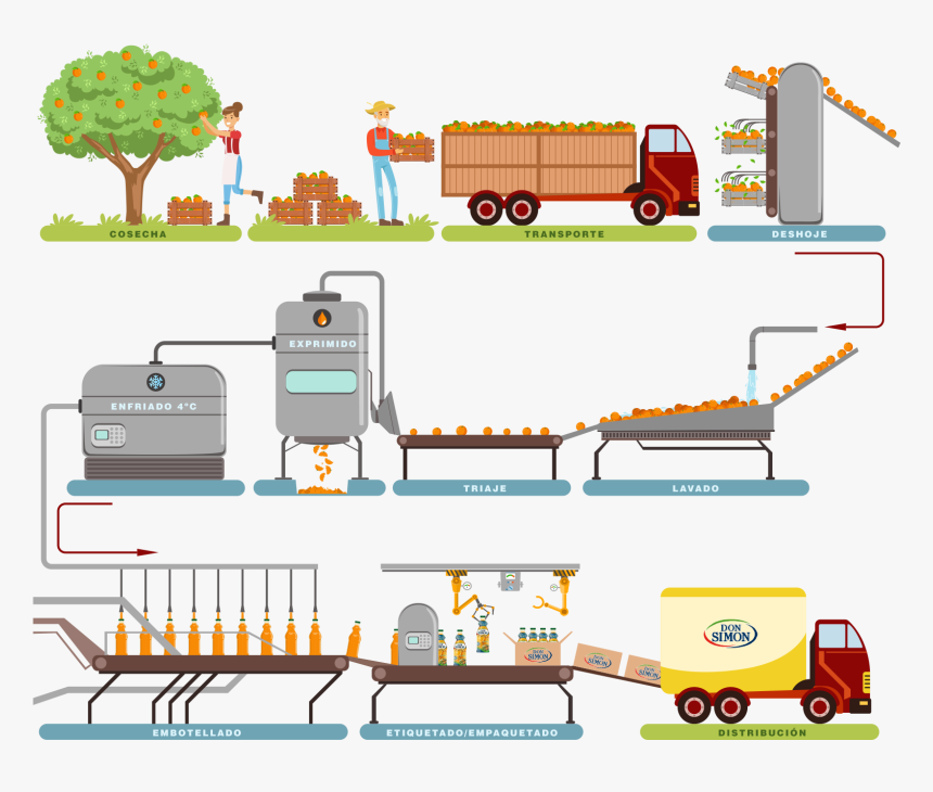Proceso De La Naranja, HD Png Download