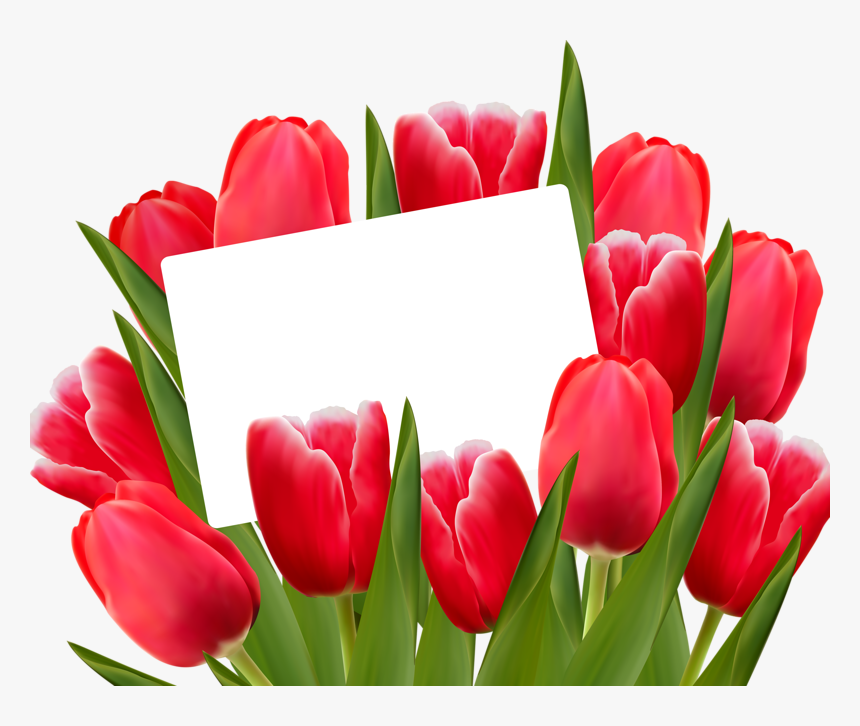 Red Tulips- Spring Clip Art - Red Tulips Png, Transparent Png