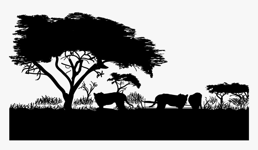 Cheetah Lion Grassland - Black And White Wildlife Png, Transparent Png