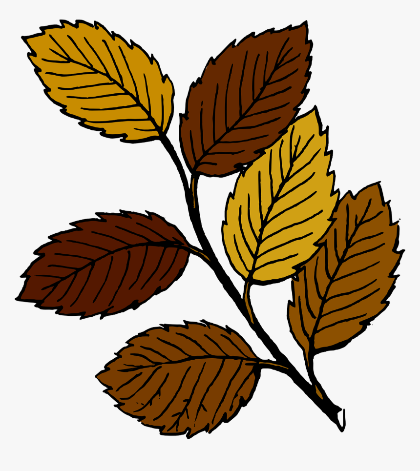 Leaves Clip Art, HD Png Download