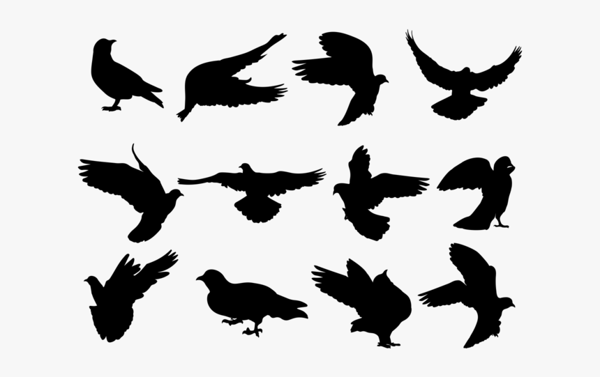 Paloma Silhouettes Vector - Paloma Volando Silueta Png, Transparent Png