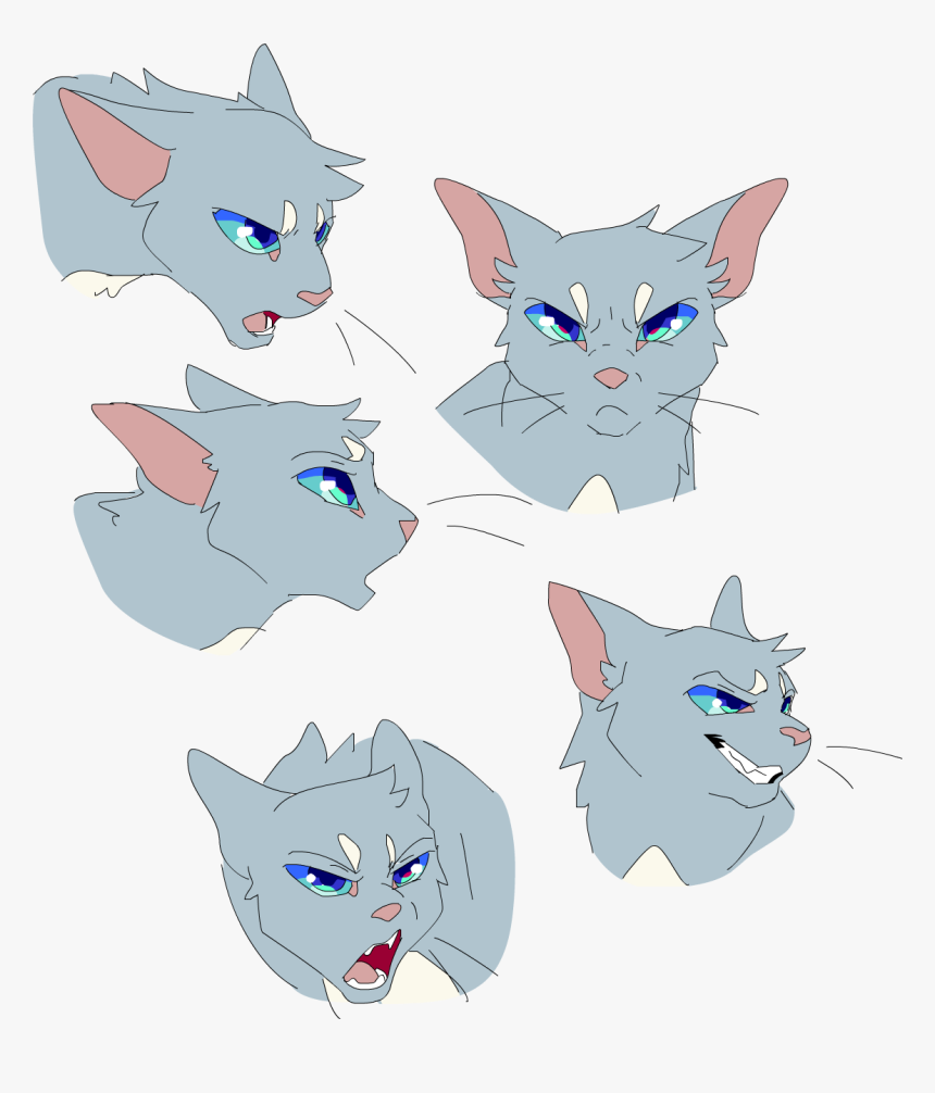 Warrior Cats Meow 286, HD Png Download