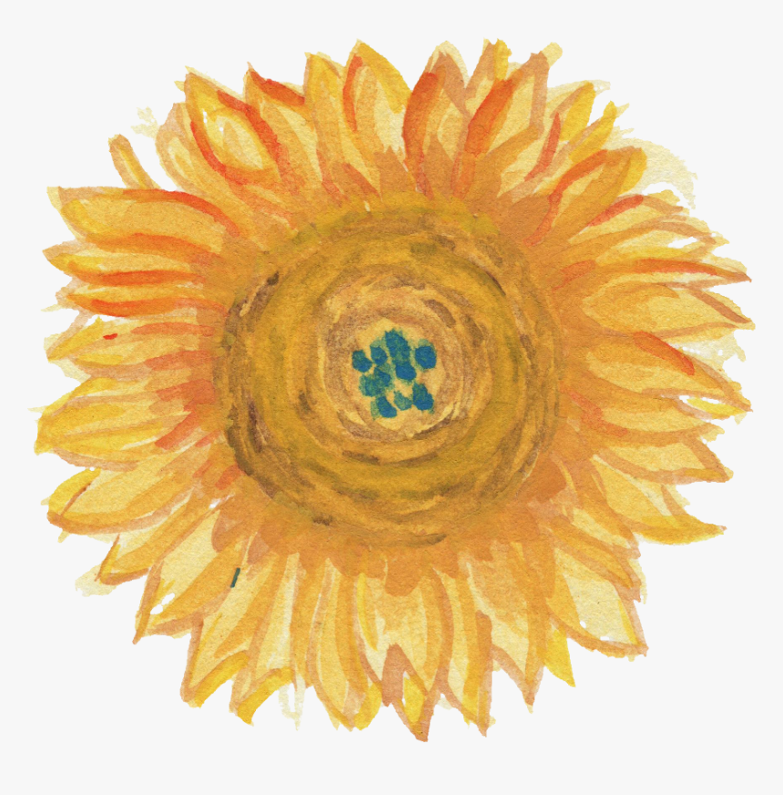 Transparent Brown Flower Png - Sunflower, Png Download