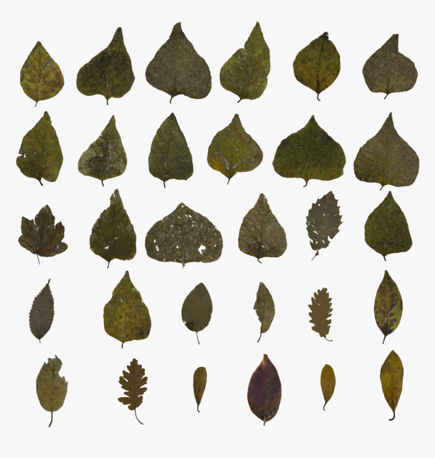 Igneous Rock, HD Png Download