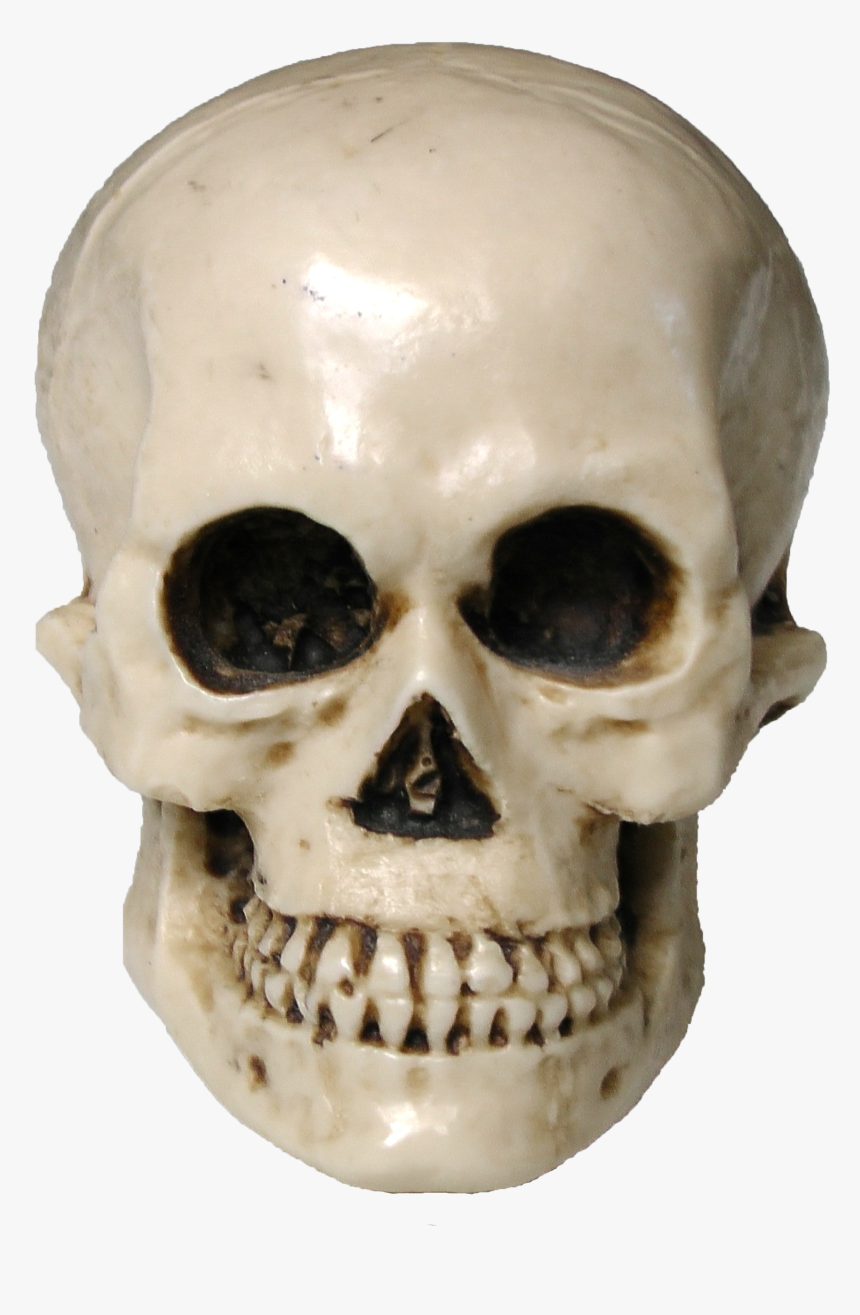 Skull Public Domain, HD Png Download