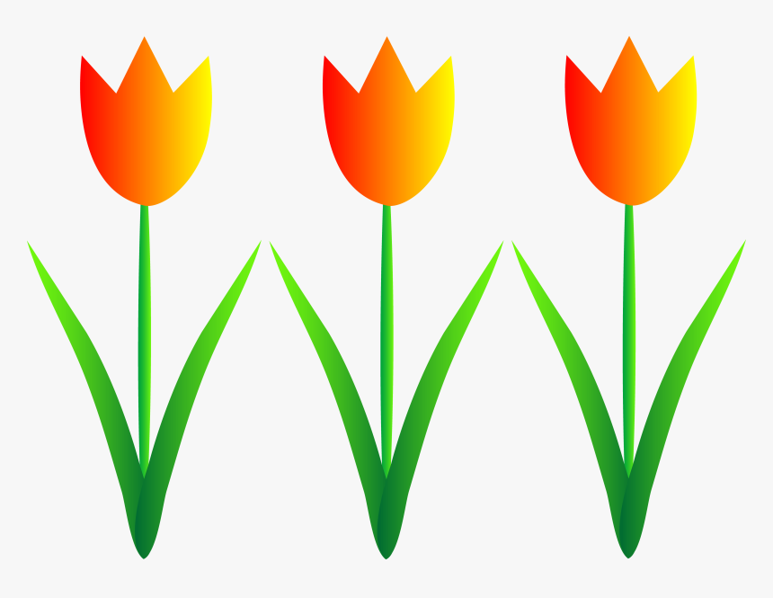 Spring Flowers Border Clipart - Garden Flower Clipart Png, Transparent Png