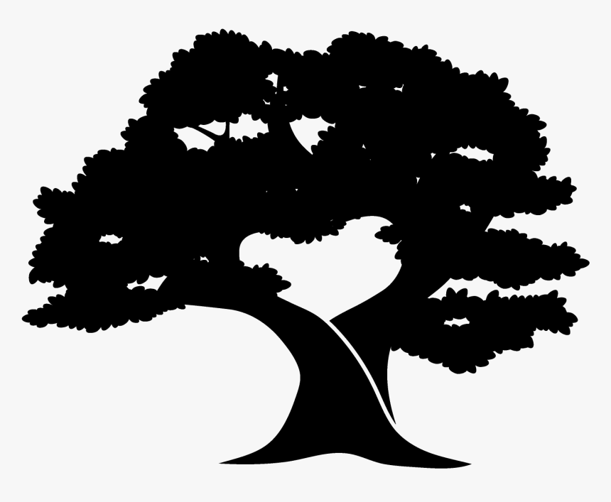 Illustration - Tree, HD Png Download