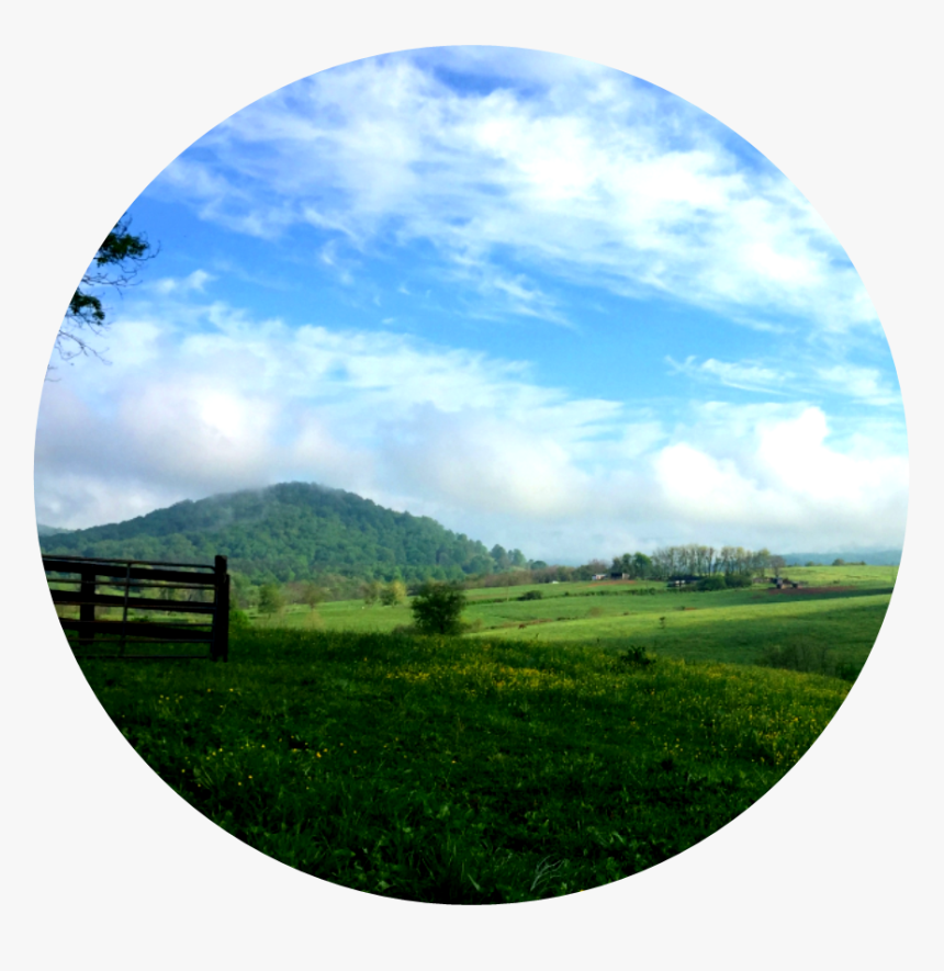 Grassland Png, Transparent Png