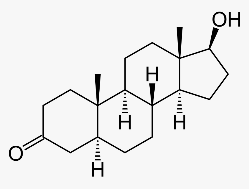 Diagram Of Testosterone, HD Png Download