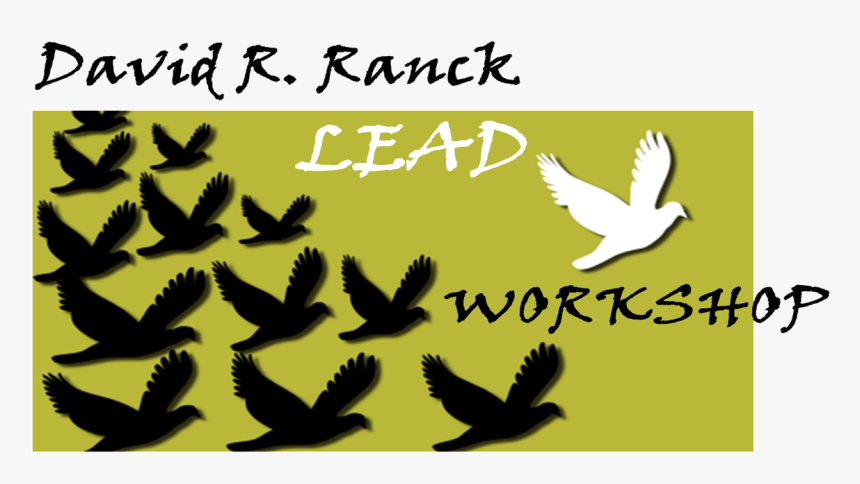 Pigeons And Doves, HD Png Download
